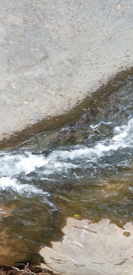 فيلا The Creek House ماريتا المظهر الخارجي الصورة